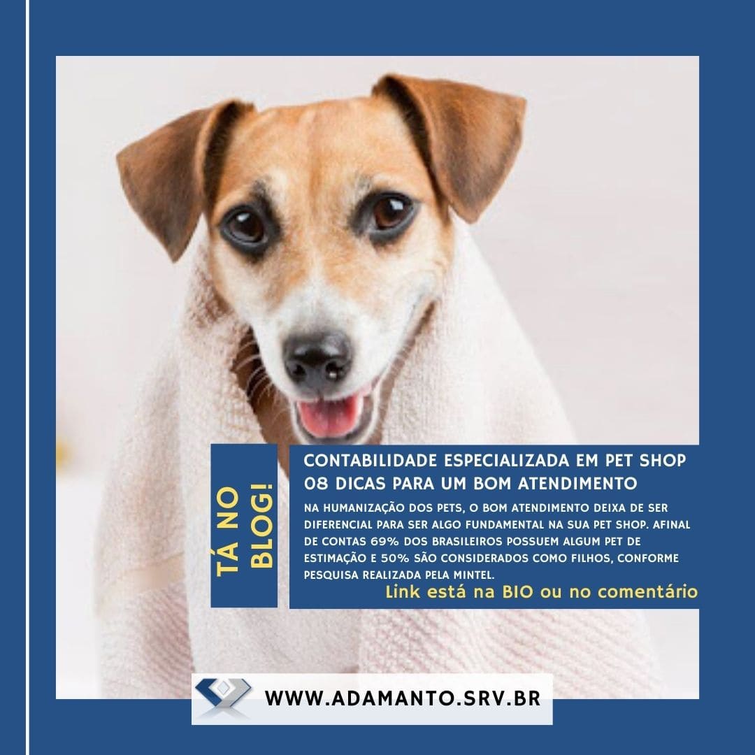 contabilidade especializada em pet shop 08 dicas para um bom atendimento
