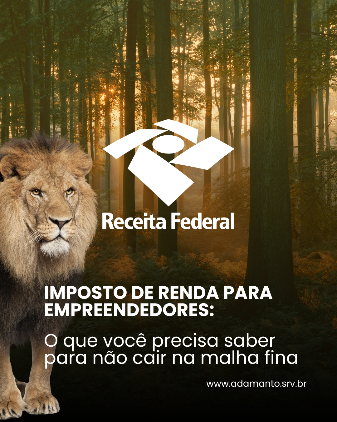 Declaração imposto de renda