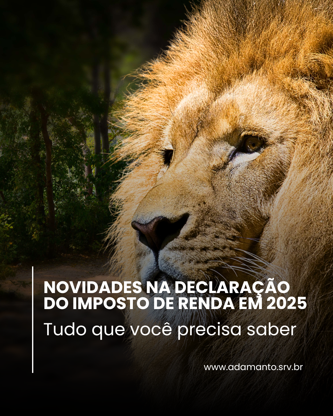 Novidades no imposto de renda 2025