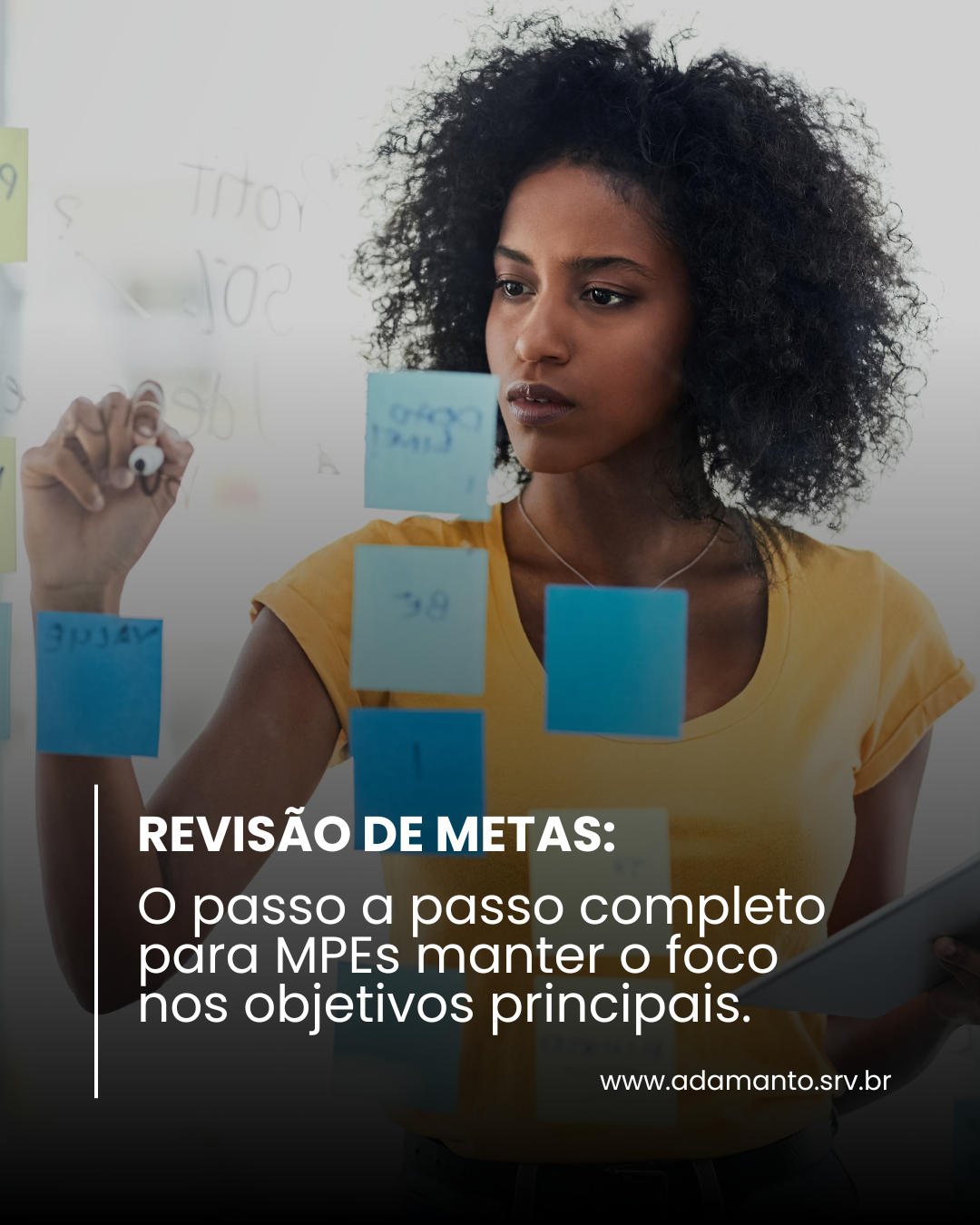 Revisão de metas