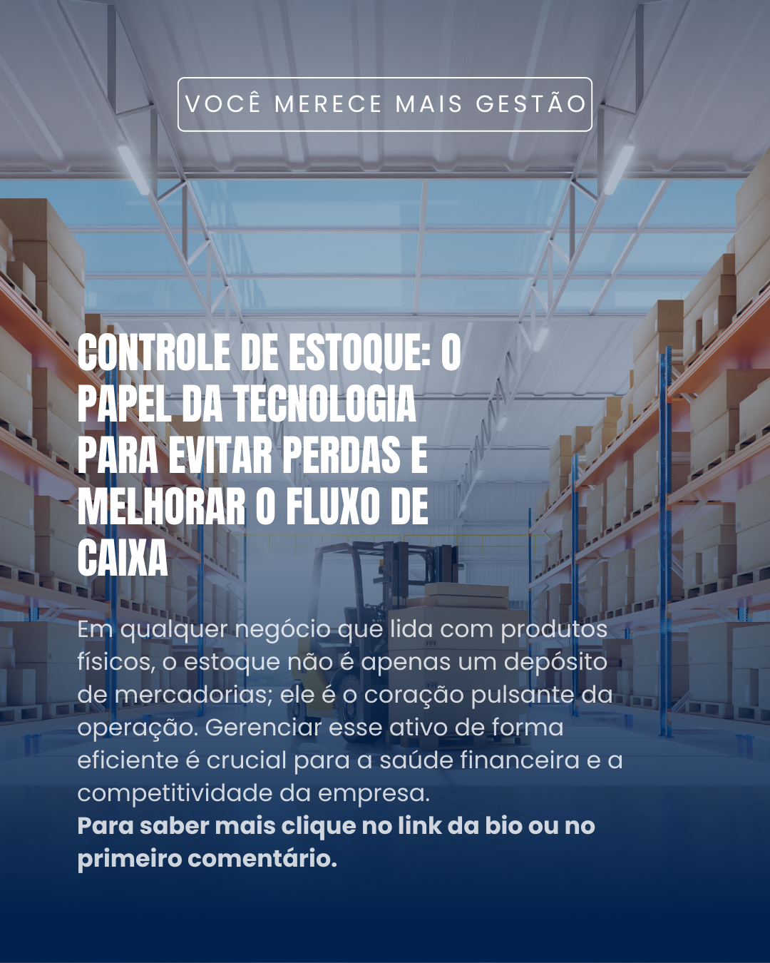 Controle de estoque: Aprenda a evitar perdas e otimizar seu lucro.